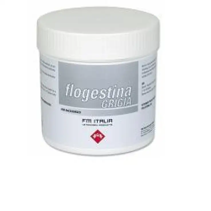 V FLOGESTINA GRIGIA PASTA 1KG(RI