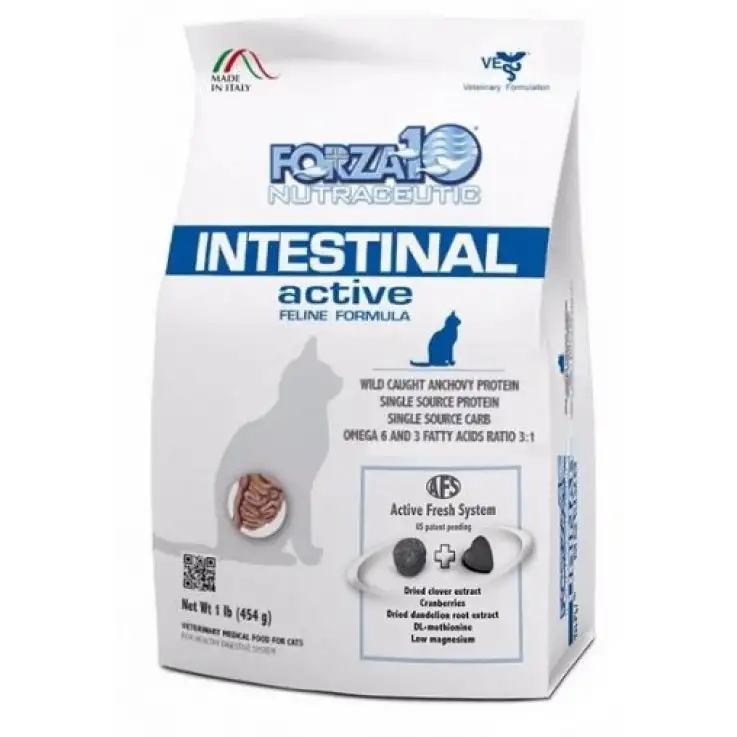 V F10 INTEST ACTIVE GATTO 454GR