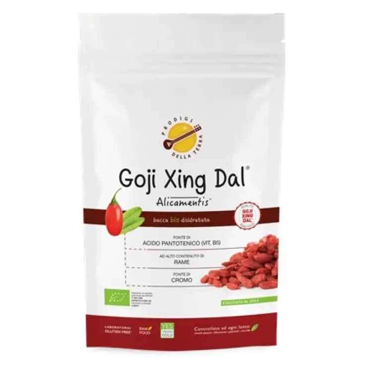 GOJI XING DAL ALICAMENTIS BIO 480 G LYCIUM BARBARUM PRODIGIDELLA TERRA