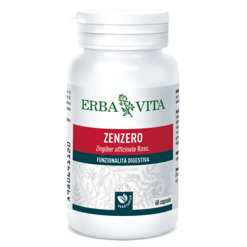 ZENZERO 60 Cps 500mg EBV