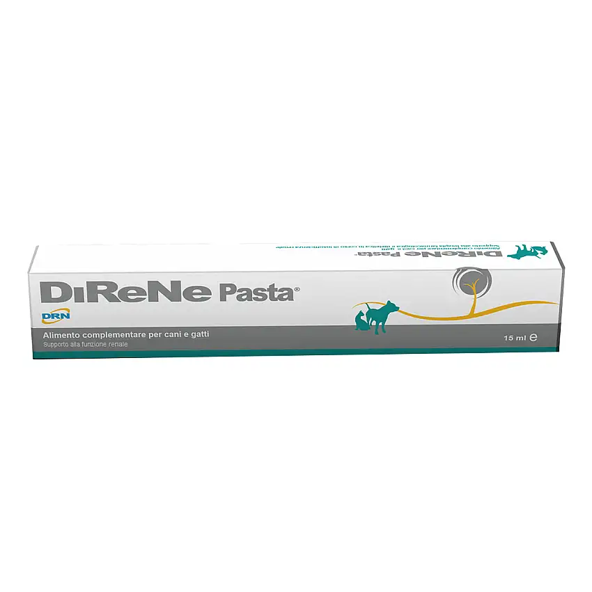 DIRENE PASTA 15ML