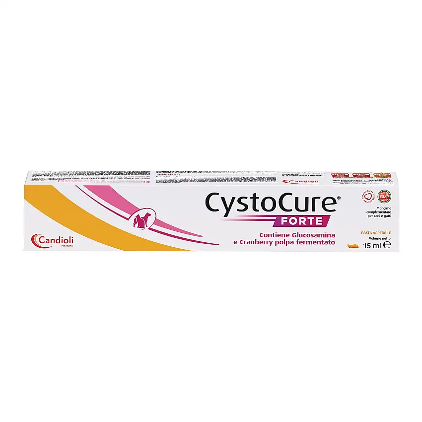 Cystocure Forte Pasta 15 ml